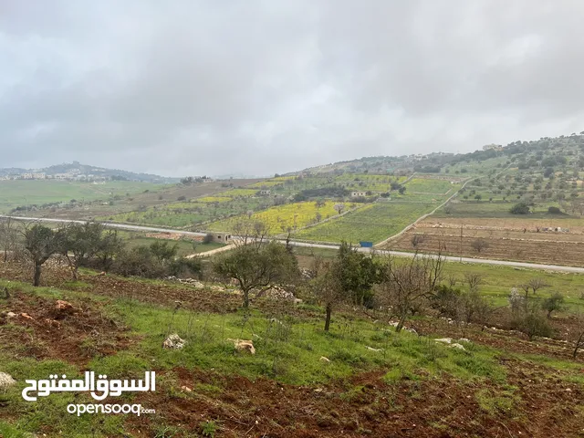 Mixed Use Land for Sale in Ajloun I'bbeen