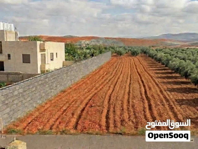 Farm Land for Sale in Amman Naour