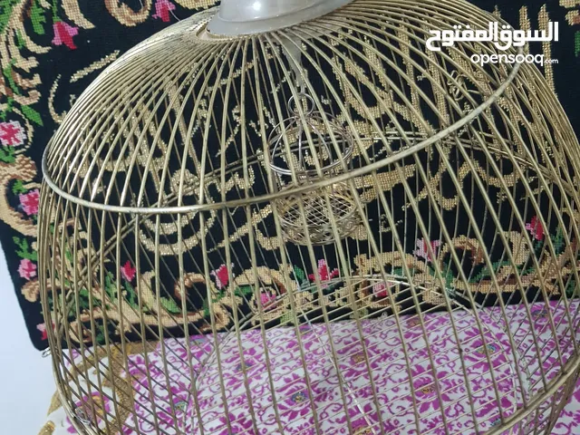 قفص عصافير