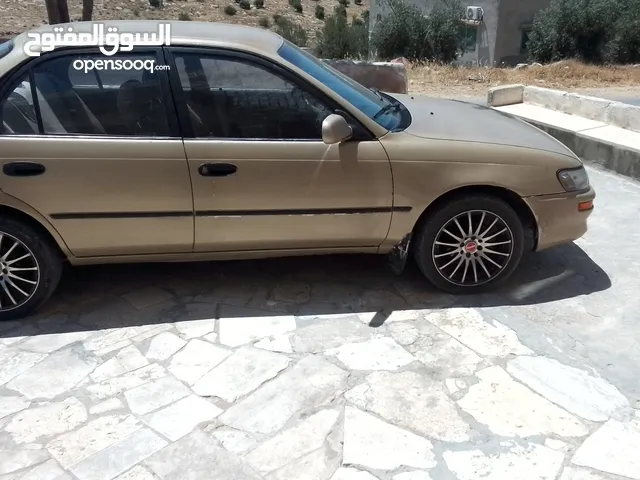 New Toyota Corolla in Jerash