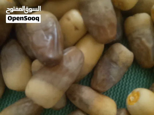 رطب نغل نظيف خراف اليوم