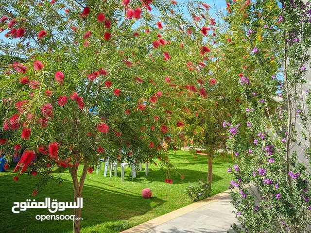 استراحة بيت الورد للايجار اليومي