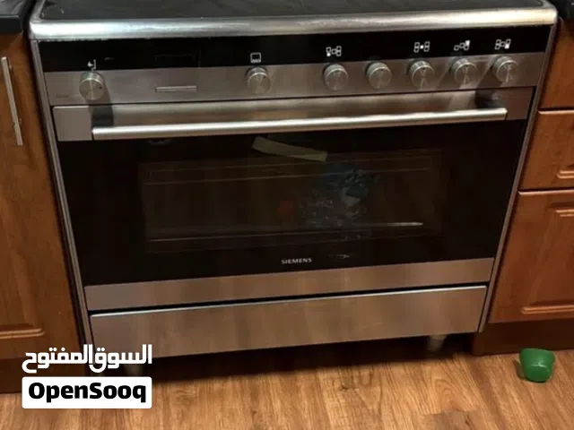 Electronic oven