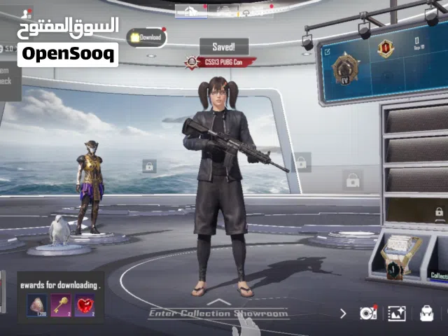 Pubg Accounts and Characters for Sale in Al Batinah