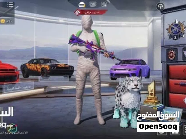 Pubg Accounts and Characters for Sale in Salt
