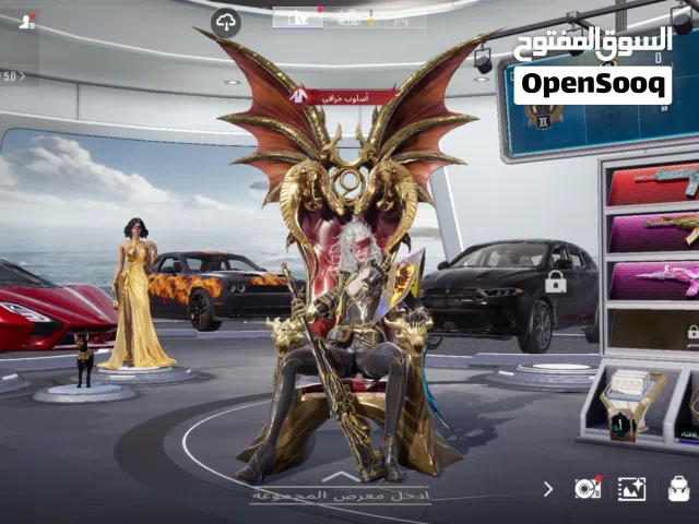 Pubg Accounts and Characters for Sale in Amman