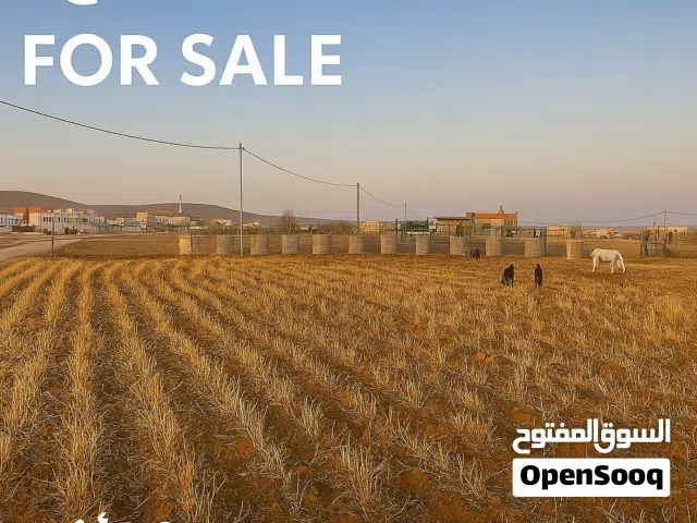 Residential Land for Sale in Amman Al-Muwaqqar