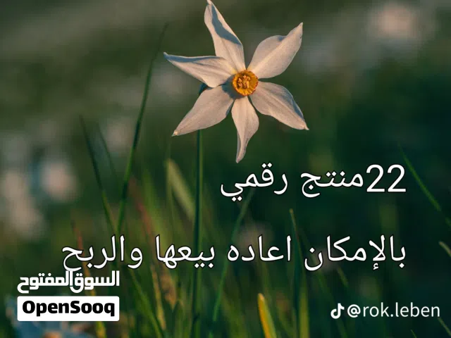 منتجات رقميه