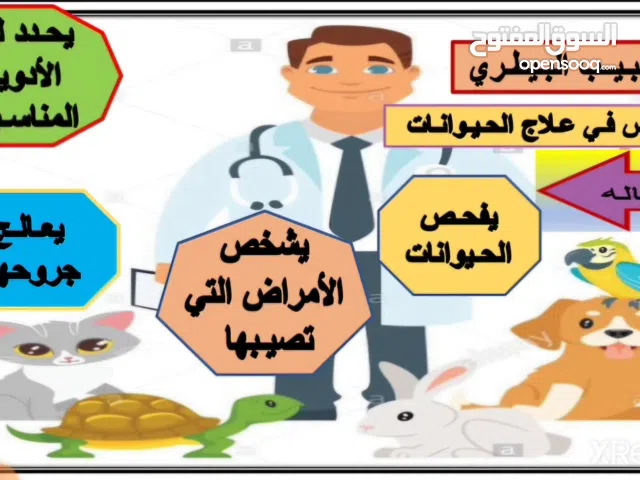 دكتور بيطري