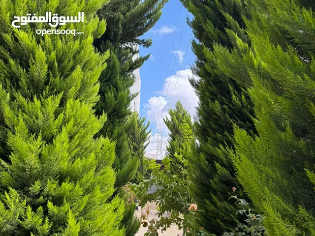 800 m2 5 Bedrooms Villa for Sale in Amman Al Bnayyat