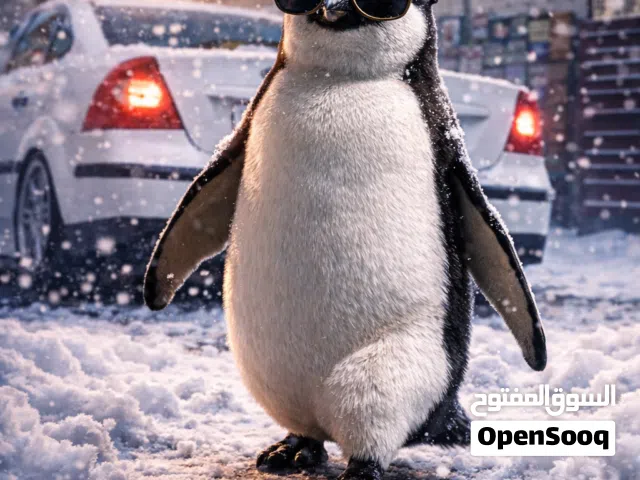 2006, فورد, فوكس, Ambiente