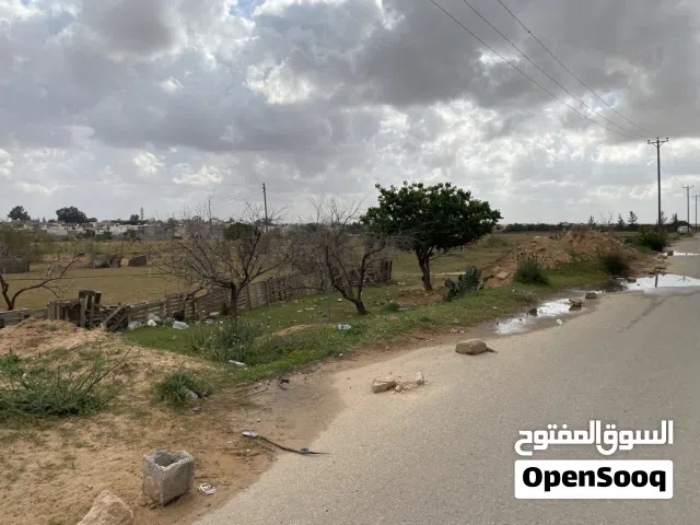 قطعة ارض في عين زارا الكحيلي الطريق الماديه للباعيش علي قطران وقريبه علي رئيسي سعر المتر 500