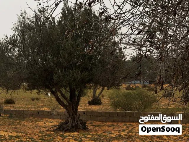 Mixed Use Land for Sale in Tripoli Sidi Al-Sae'a