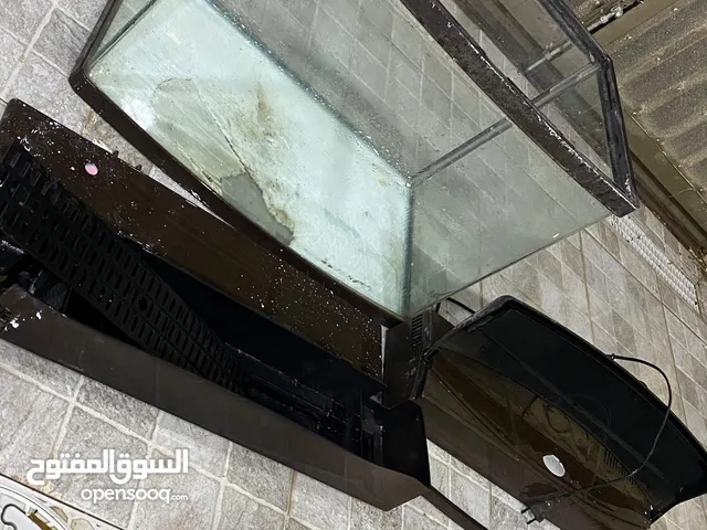 حوض سمك نضيف جدا