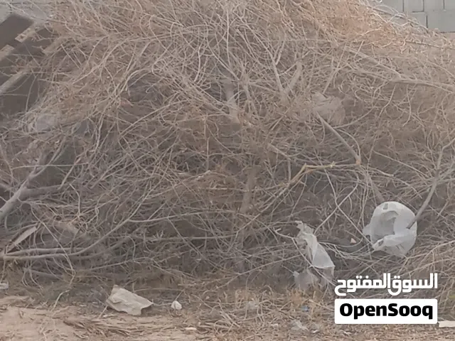 حطب للبيع
