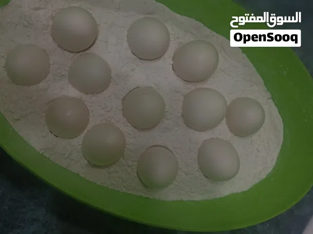 سلام عليكم  بيض مال دجاج صلطاني اصلي وشرط الشد
