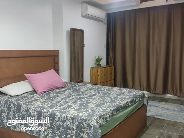 Furnished Daily in Cairo Nasr City