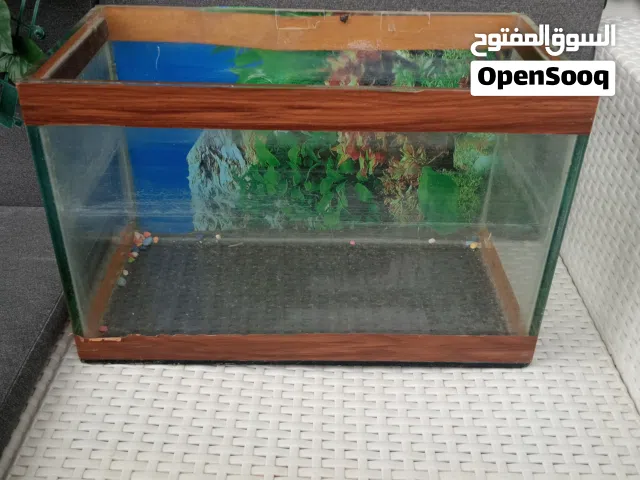 حوض سمك مع جميع المستلزمات