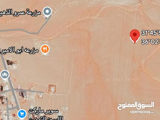 تملك الان ارض بجانب مطار الملكة علياء الدولي منطقة الكتيفة على حد الاميرة بسمة بسعر مغري