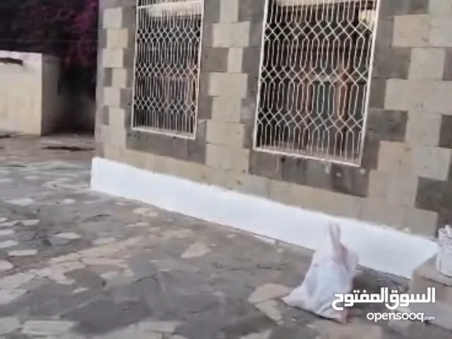 فله دور وحد للايجار مستاقل