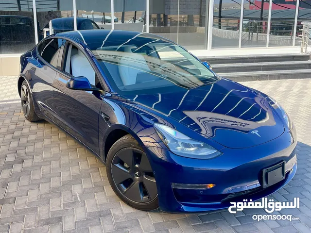 Tesla model 3 standard plus (2022)