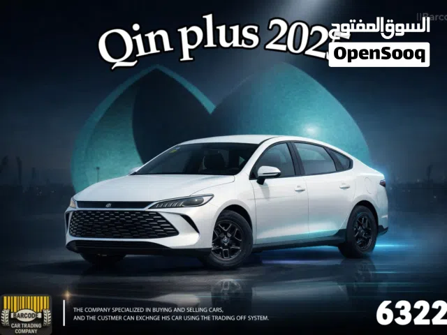2025, بي واي دي, كين