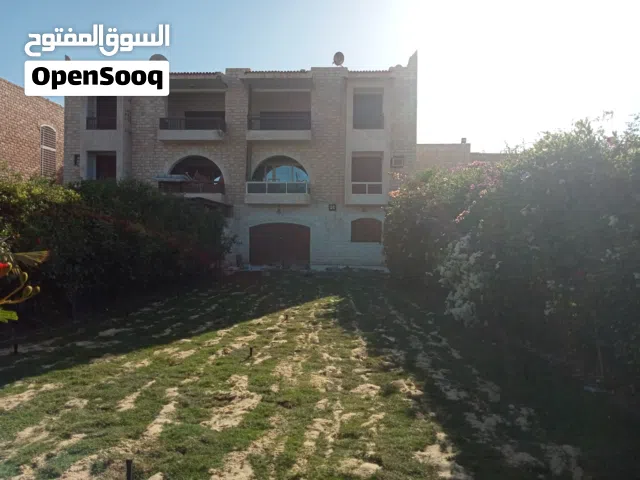 سباك صحى محترف