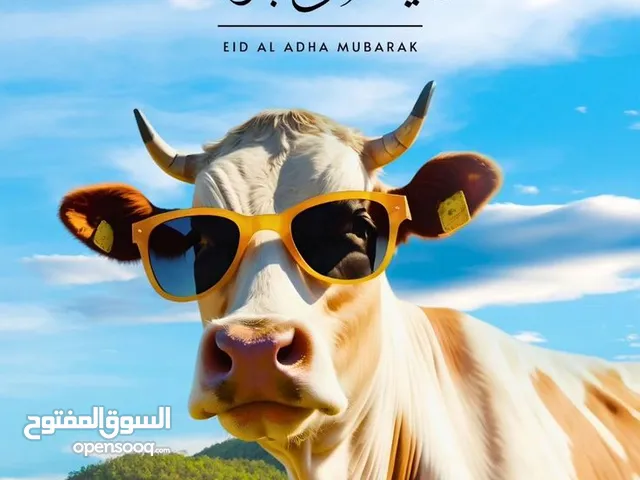 تصاميم شوشيال ميديا للشركات و المحلات التجارية الصناعية بسعر رمزي جدا