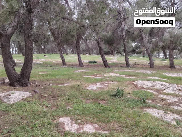 Farm Land for Sale in Jerash Al-Mastaba