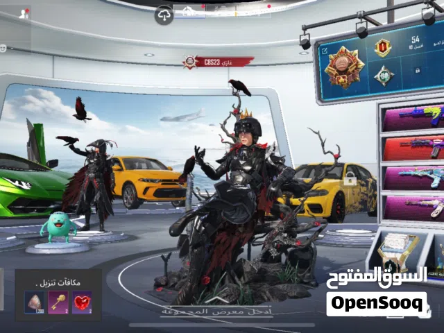 Pubg Accounts and Characters for Sale in Basra
