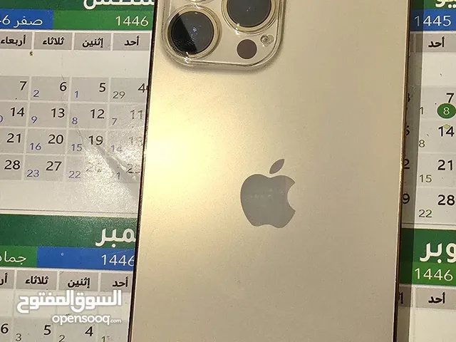 Apple iPhone 13 Pro Max 256 GB in Al Mukalla