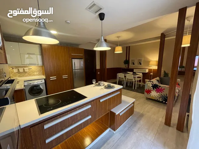 Luxury furnished apartment for rent