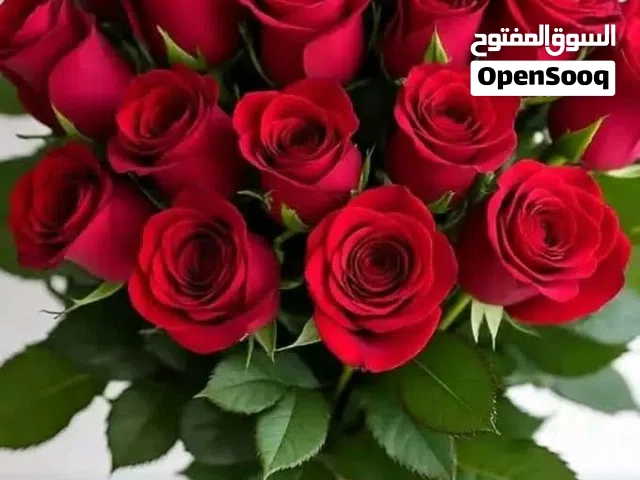 مطلوب شخص لمشاركة 2 داخل غرفة في شقة سعر الفرد 33 دينار
