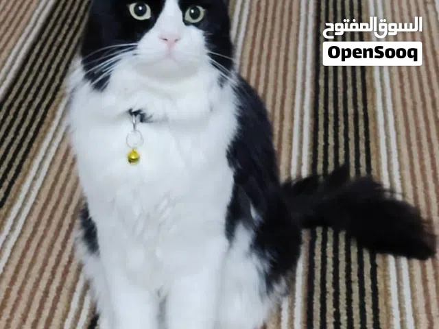 ذكر عمر 8شهور