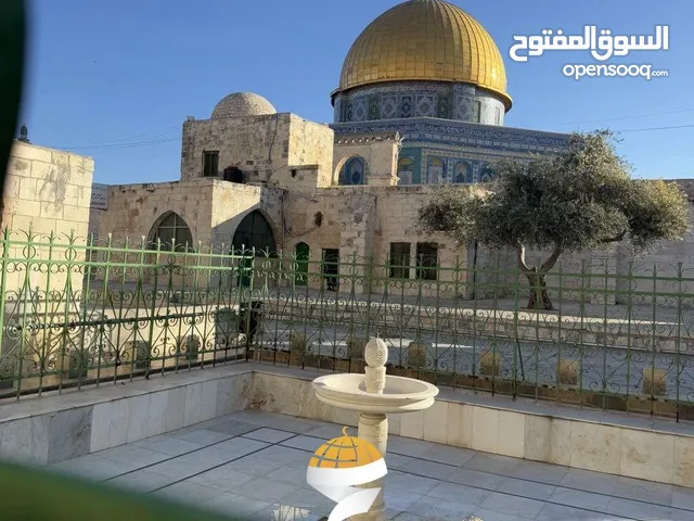 سارة