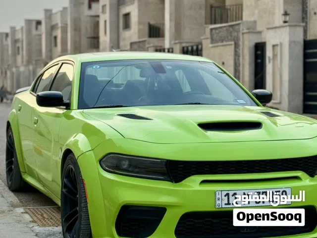 جارجر 2023 لاست كول بدون ارباك بنيد صبغ فقط لون مميز وايد بدي اصل