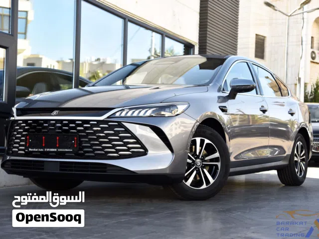 2025, بي واي دي, كين