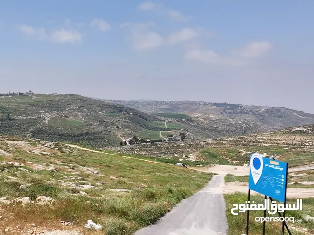 Residential Land for Sale in Amman Naour