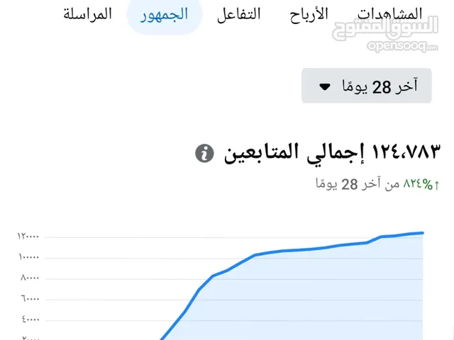 Social Media Accounts and Characters for Sale in Irbid