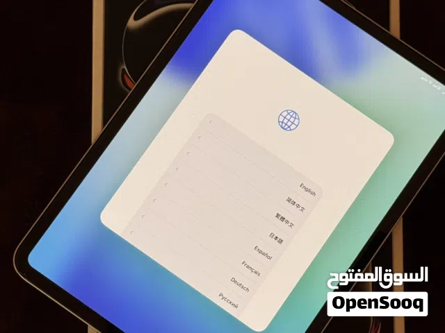 Apple iPad Pro 11 256 GB in Muscat
