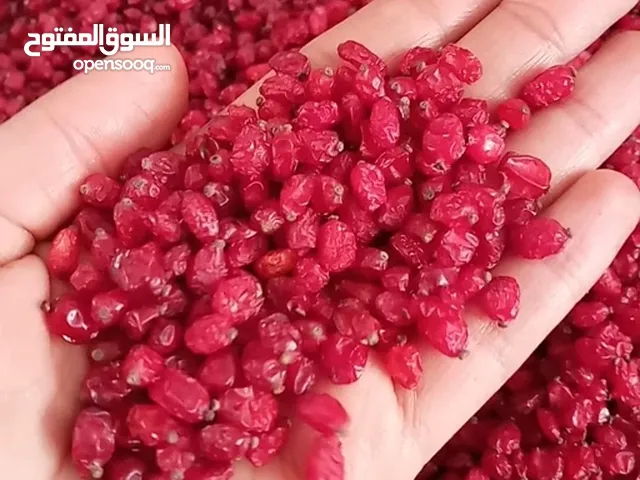 البرباريس من أعلى مستوى