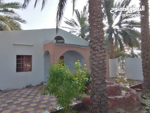 مزرعة للبيع في إبرا اليحمدى مرخصة من وزارة السياحة