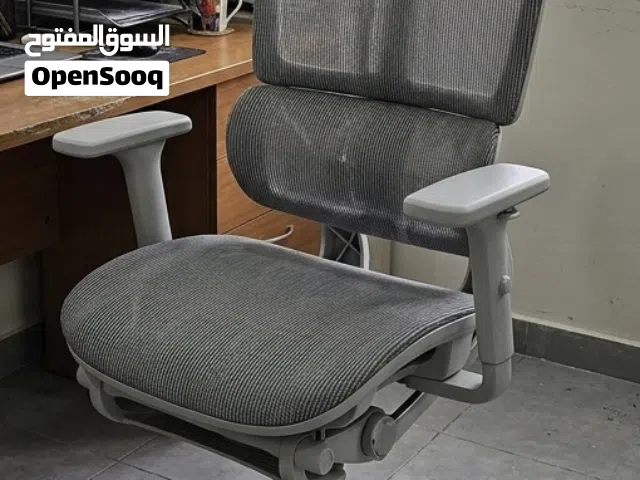 استخدام يوم واحد فقط