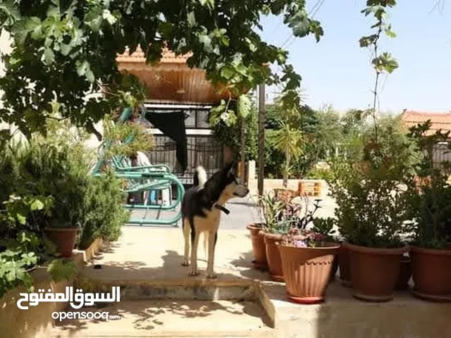 235 m2 4 Bedrooms Townhouse for Rent in Zarqa Birayn