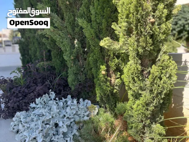 200 m2 3 Bedrooms Apartments for Rent in Amman Abdoun