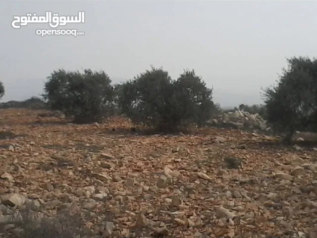 Mixed Use Land for Sale in Nablus Yasid