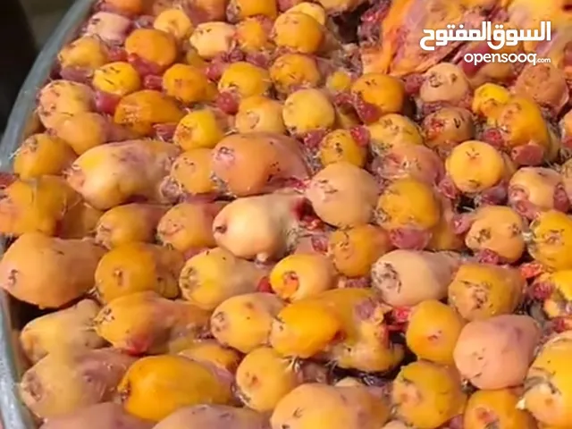 طيور التين دخل مهاجر وصلني قبل يومين