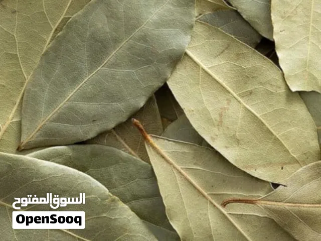 ورق غار مجفف للبيع