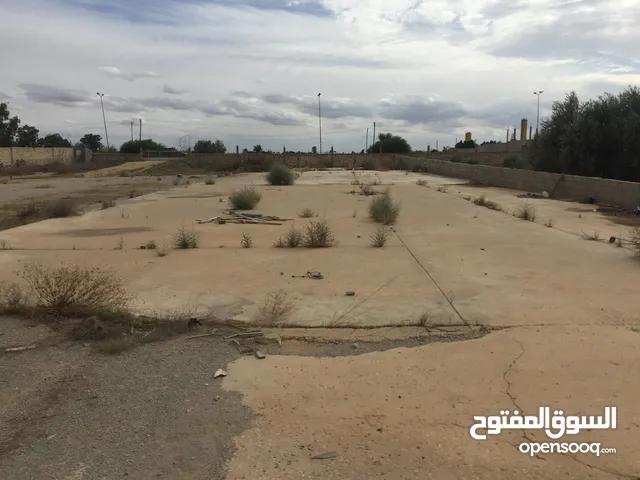  Land for Rent in Tripoli Wadi Al-Rabi