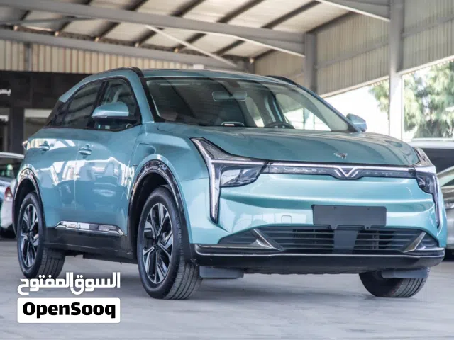 2022, Neta, U, Pro 400